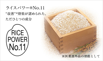 about_rice-power-no11